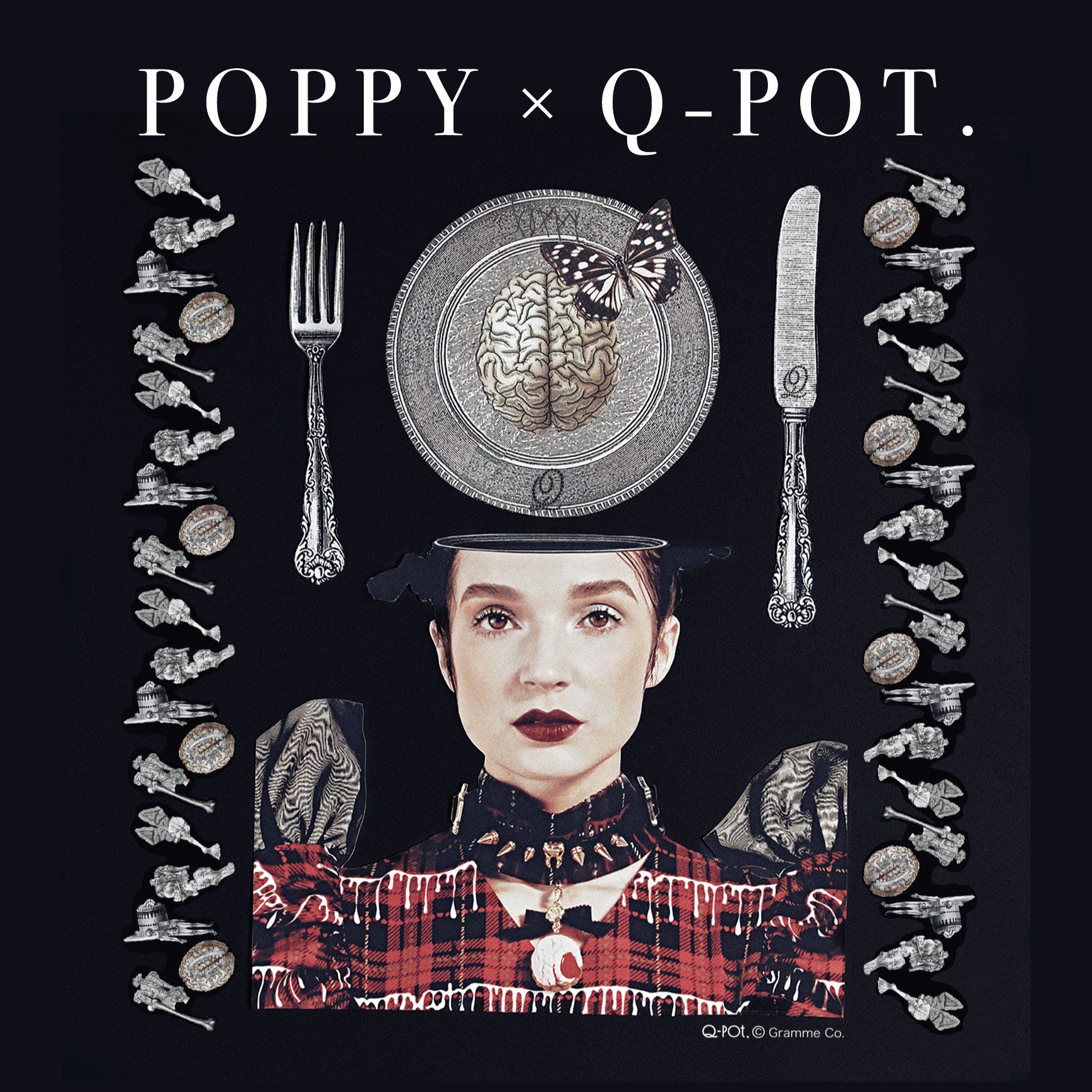 Poppy Collaboration