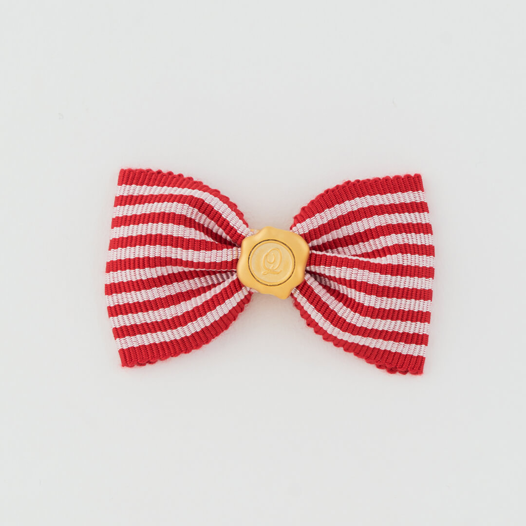 Stripe Ribbon Charm (Red×White)【Japan Jewelry】